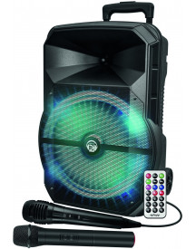 TROLLEY ENCEINTE BOOMER 31CM 2 MICROS TE