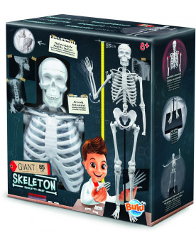 SQUELETTE 85CM