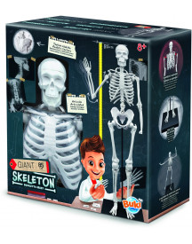 SQUELETTE 85CM