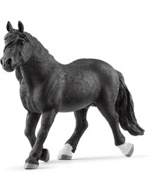 ETALON NORIKER