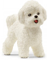 BICHON FRISE