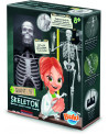 SQUELETTE 45CM