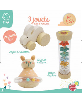 LE COFFRET 3 JOUETS DE MON...