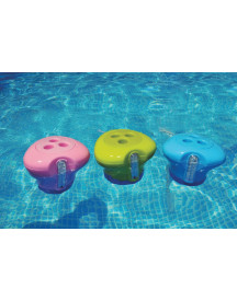 DIFFUSEUR DE CHLORE + THERMOMETRE