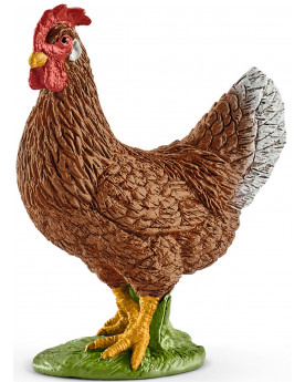 POULE