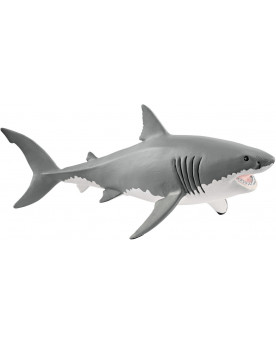 REQUIN BLANC