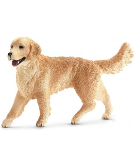GOLDEN RETRIEVER FEMELLE