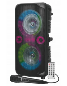 ENCEINTE 52CM BOOMERS + ANNEAUX LUM.+MIC