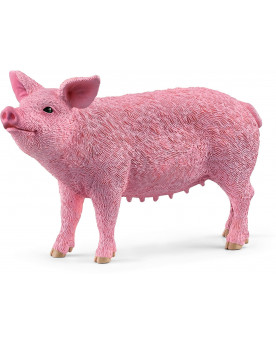 COCHON