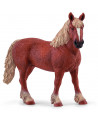 POULINIERE BELGE