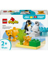 FAMILLES D'ANI. SAUV.:PINGOUINS ET LIONS