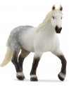 JUMENT PERCHERON