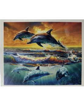 PPN 40X50 AUBE DES DAUPHINS