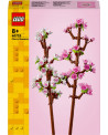 LES FLEURS DE CERISIER
