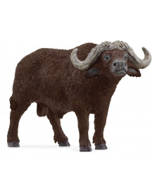 BUFFLE D'AFRIQUE