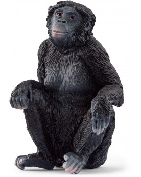 BONOBO FEMELLE