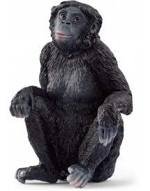 BONOBO FEMELLE