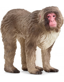 MACAQUE JAPONAIS