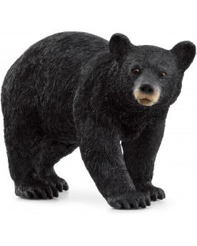 OURS NOIR D'AMÉRIQUE
