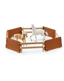 GRAND MANÈGE EQUESTRE