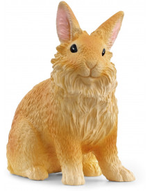LAPIN LIONHEAD