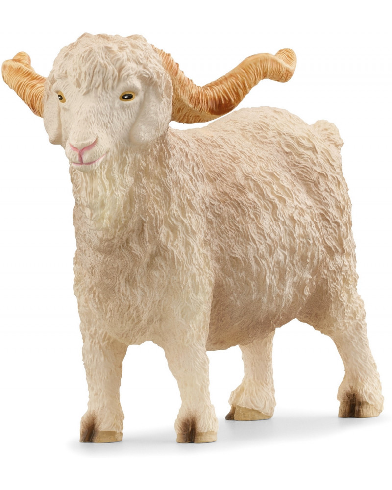 BOUC ANGORA