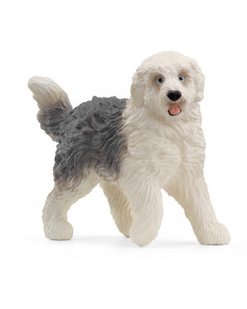 CHIEN DE BERGER ANGLAIS