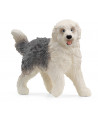 CHIEN DE BERGER ANGLAIS