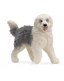 CHIEN DE BERGER ANGLAIS