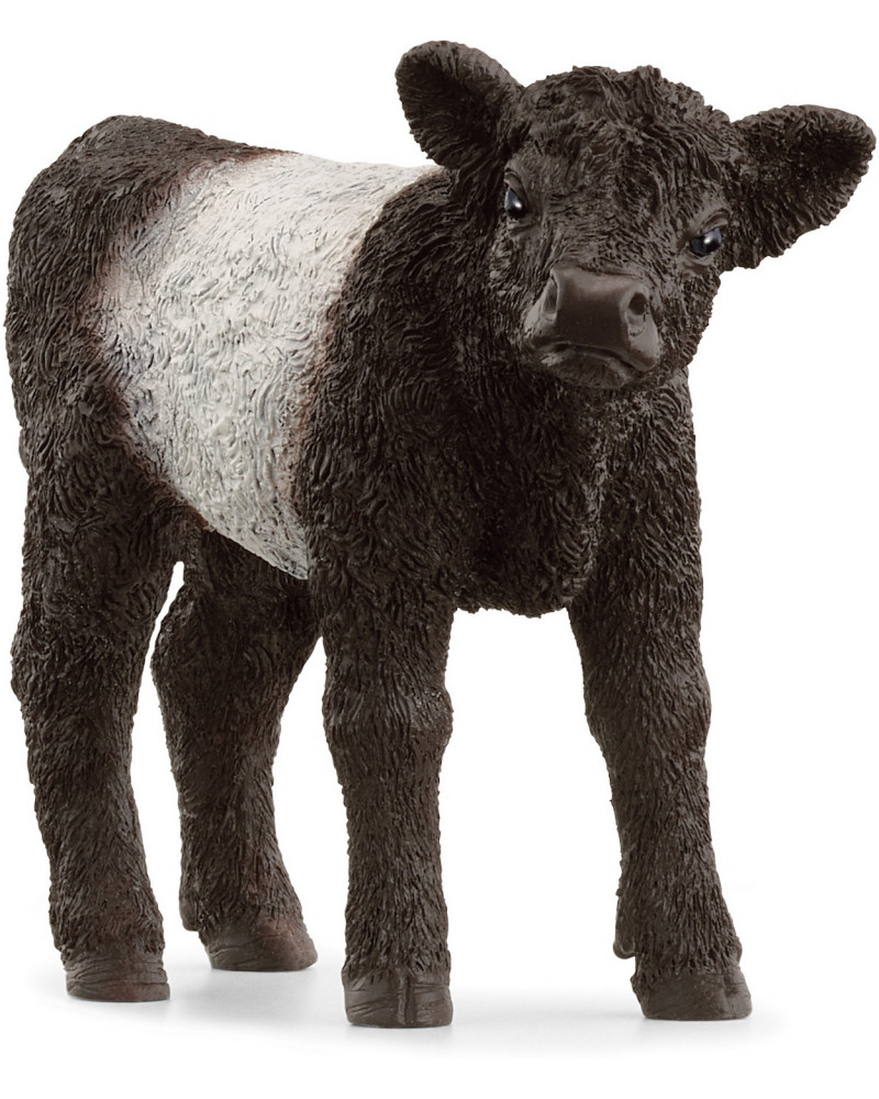VEAU GALLOWAY