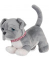 CHIEN 15CM PITBULL