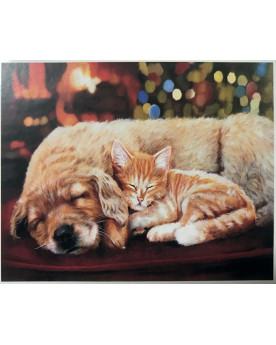 PPN 50X40 SIESTE ENTRE AMIS...