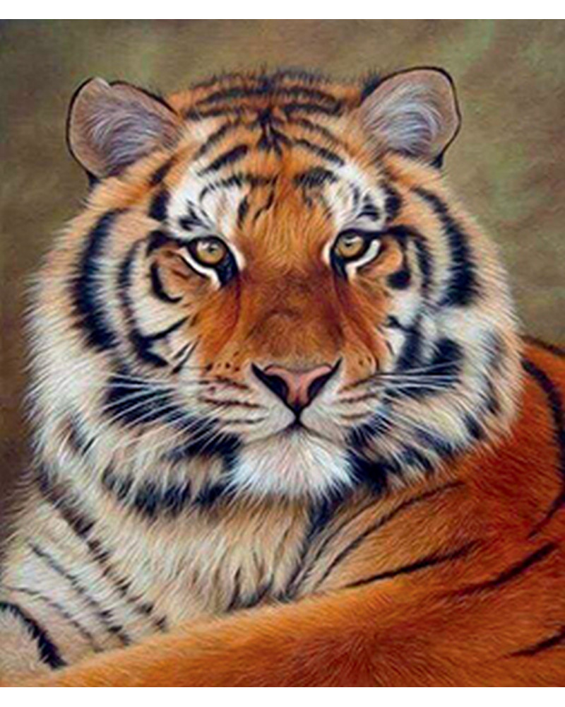 BRODERIE DIAMANT REGARD DE TIGRE + CHASS