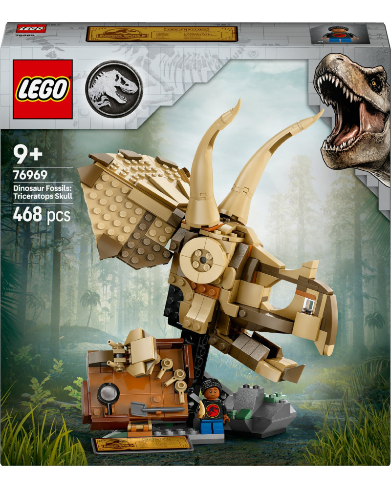 LES FOSSILES : LE CRANE DU TRICERATOPS
