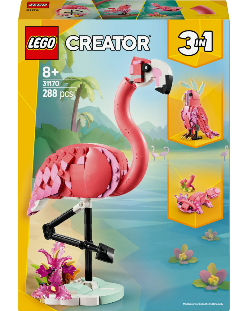 ANIMAUX SAUVAGES : LE FLAMANT ROSE
