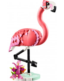 ANIMAUX SAUVAGES : LE FLAMANT ROSE