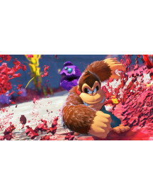 SWITCH2 DONKEY KONG BANANZA  FR