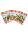 CARTATOTO RECREATION DINOSAURES DSPL
