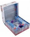 CARTA MUNDI FROZEN2 JEU DE MIMES