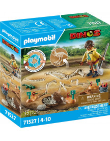 SITE ARCHEOLOGIQUE AVEC SQUELETTE DE DIN