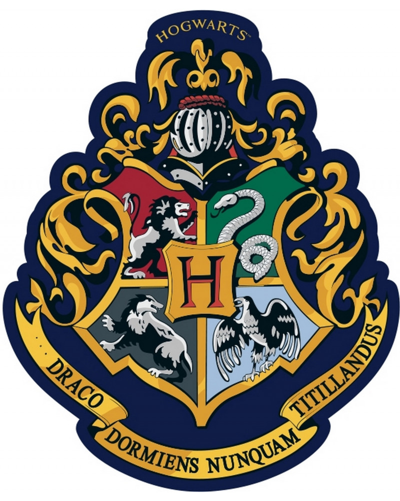 COUSSIN FORME HARRY POTTER BLASON