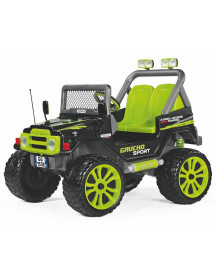 GAUCHO SPORT 2 PLACES  12V. 500W