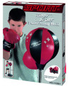 PUNCHING BALL SET + GLOVES