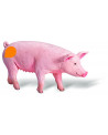 TIP TOI COCHON