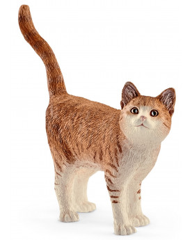 CHAT
