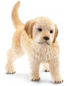 CHIOT GOLDEN RETRIEVER