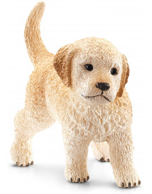 CHIOT GOLDEN RETRIEVER