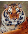 BRODERIE DIAMANT REGARD DE TIGRE + CHASS