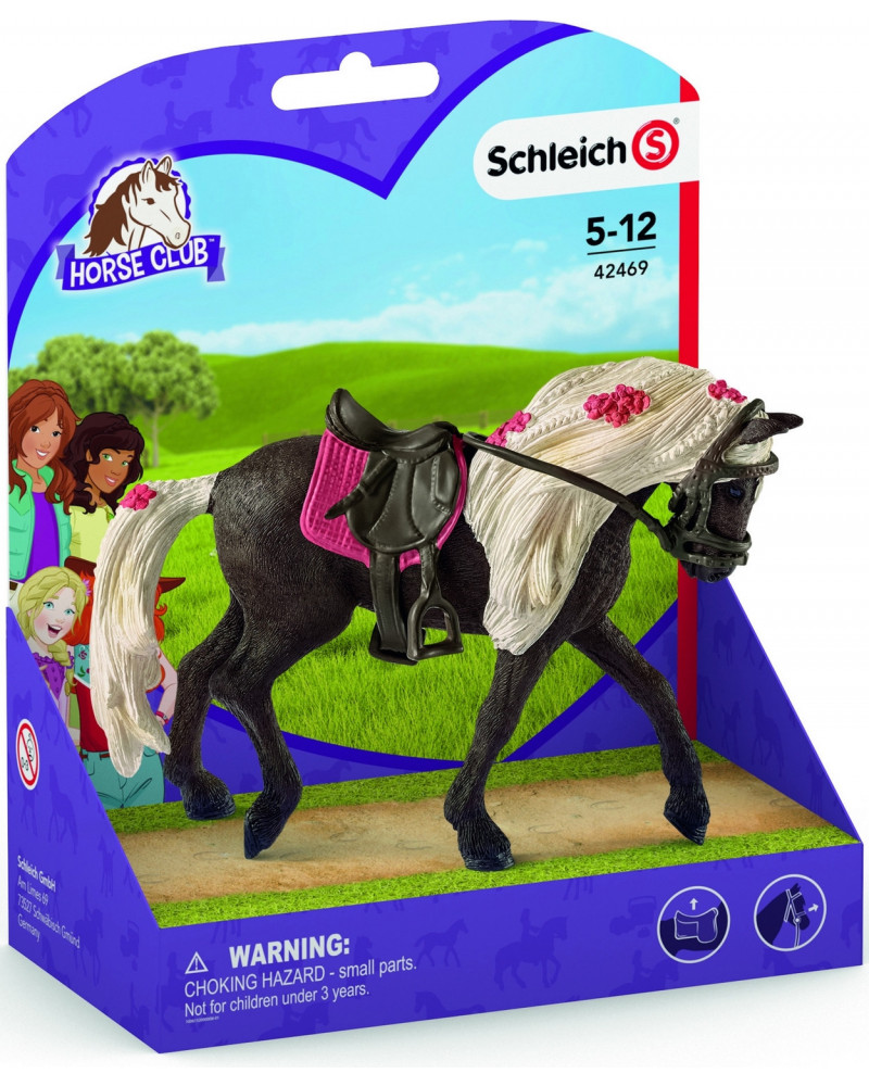 JUMENT ROCKY MOUNTAIN SPECTACLE EQUESTRE