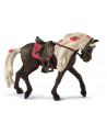 JUMENT ROCKY MOUNTAIN SPECTACLE EQUESTRE